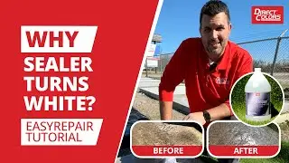 How to Fix White Sealer with Easy Repair | Direct Colors Tutorial
