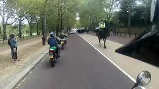 The Blues and Royals upon The Mall (2018)