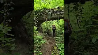 Кавказские джунгли