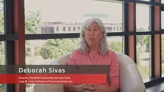 Deborah Sivas | Stanford Energy Postdoctoral Fellowship