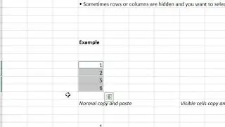 How to Copy only Visible Cells in Excel