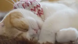 Кайф