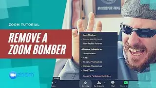 How to remove a Zoom Bomber quickly