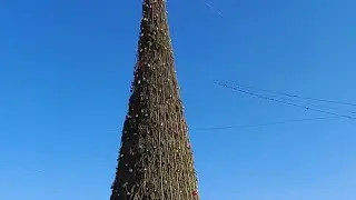 ТАЗА ЖЫЛЛАРЫН КУТЛЫ БОЛСЫН