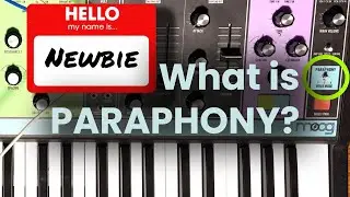 Paraphonic vs. Polyphonic Synths. Is the Moog Matriarch right for you?