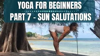 Yoga for Beginners (2020):  Part 7 [Sun Salutations]