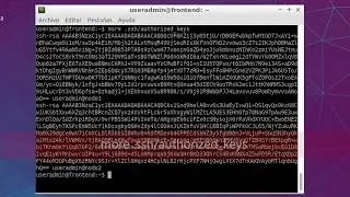Instalación de SSH en un clúster  Linux (Lubuntu)