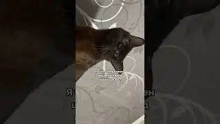 Финальная фраза самая главная🤌🏼😁 