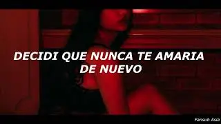 Ryan.B / AY Yang Lao San - Never again【sub español】