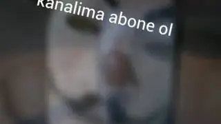 Yeni intro