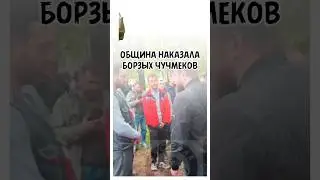 All courage vanished when it came time to answer.