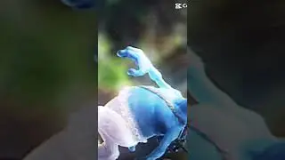 Blue Smurf cat