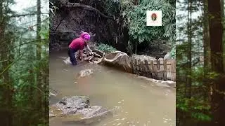 Building a Free Electricity System in the Forest | Off Grid Hydropower DIY