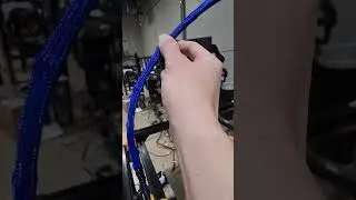 It is alive!!!!
