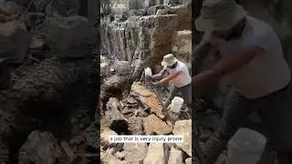 Found a diamond nest 