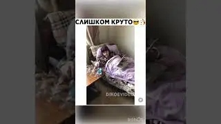 Слишком круто 🙌 #топ #тренды #shorts #юмор