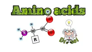amino acids | Dr. sci |