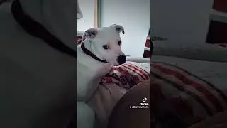 Good joke