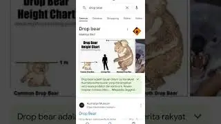 drop bear is falling #edit #Drop #bear