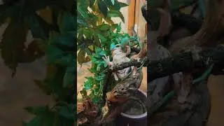 ЧУТЬ НЕ ПОДАВИЛАСЬ))
