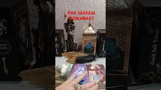 КАК ШАБАШ ПОЖИВАЕТ 
