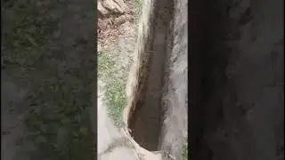 Поработал копателем.