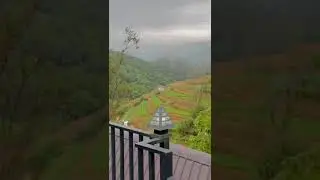 KANDy PLACE
