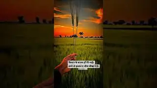 desi kisan
