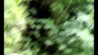 water falls 4