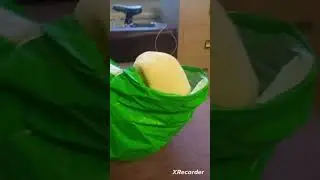 Игрушки Pizza Tower