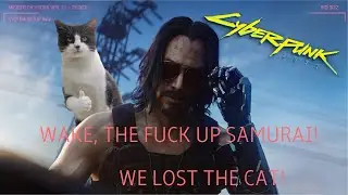 Как завести котика в Cyberpunk 2077