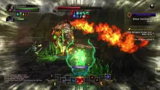 Neverwinter Dragon fight