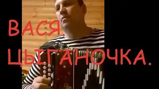 Вася. Цыганочка.
