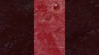 Watermelon sandwich #watermelon #selenagomezwatermelonsandwich