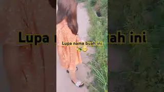 Ketemu buah ini ⁉️#shorts #shortvideo #shortsviral #viralvideo