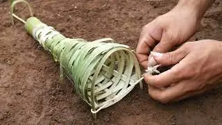Creative Fish Trap for Catching the Quail Bird in the Jungle Working Very Well