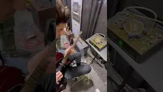 The Most Talked About Pedal At Namm 2023 - T - Rex Binson Echorec 