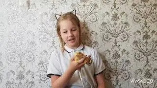 Бородатая агама | уход🦎