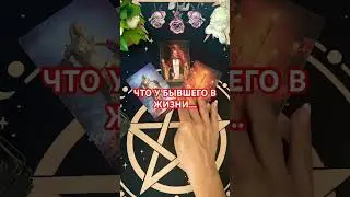 +393929906674 