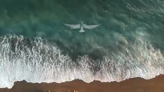 Dreamy Guitar Music II - Ambient Electric Escape - ♫ Chris Side
