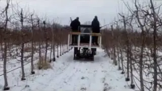 Обрезка яблони на М9 с платформы 2016 -17. Pruning apples trees.