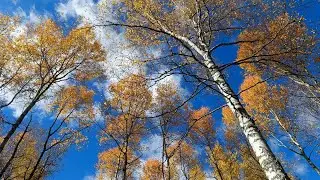 Вторая Торгашинская Видовка. Грот Телевизор. Тропа Балгаш. Сентябрь 2022
