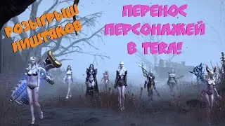 Как перенести учетную запись в TERA и получить подарок. #23