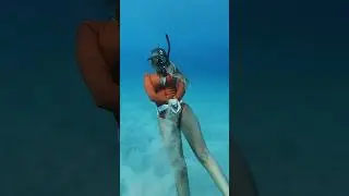 The ocean is so beautiful 🥹 