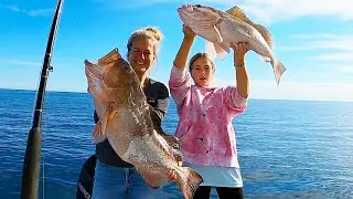 HOW To LIMIT OUT On GIANT RED GROUPER on the West Coast of Florida