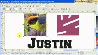 Using the eraser tool in CorelDraw