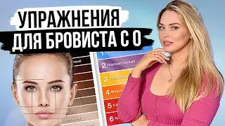 TOP EXERCISES FOR BEGINNER BROW ARTISTS | Practice from Scratch Without a Model