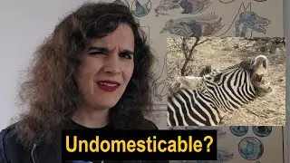 Are some animals 