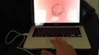 portal (test 01)