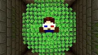 Minceraft in 43 seconds